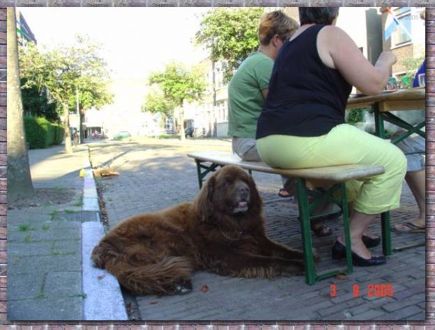 zomer2005 115.jpg